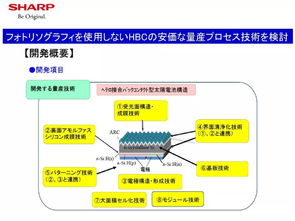 日本異質(zhì)結(jié)電池技術(shù)發(fā)展與光伏市場(chǎng)趨勢(shì)，及對(duì)計(jì)算機(jī)軟硬件及網(wǎng)絡(luò)技術(shù)開(kāi)發(fā)的推動(dòng)