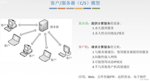 計(jì)算機(jī)網(wǎng)絡(luò)基礎(chǔ)第六章 計(jì)算機(jī)軟硬件及網(wǎng)絡(luò)技術(shù)開(kāi)發(fā)